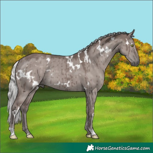Horse Color:Platinum White Spotted Silver Grullo Rabicano Brindle 