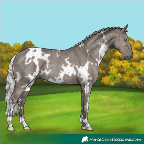 Horse Color:Platinum White Spotted Silver Smoky Grullo Rabicano Brindle 