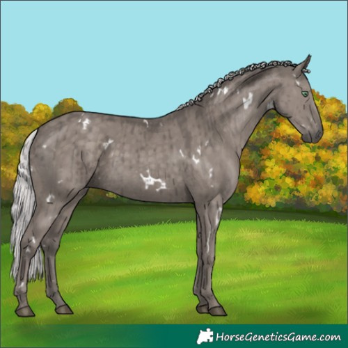 Horse Color:Platinum White Spotted Silver Smoky Grullo Rabicano Brindle