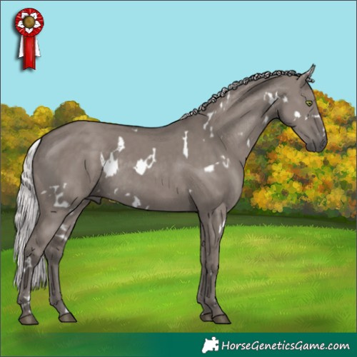Horse Color:Platinum White Spotted Silver Grullo Rabicano Brindle
