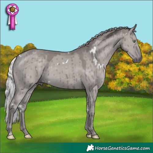 Horse Color:Platinum White Spotted Silver Smoky Grullo Rabicano Brindle