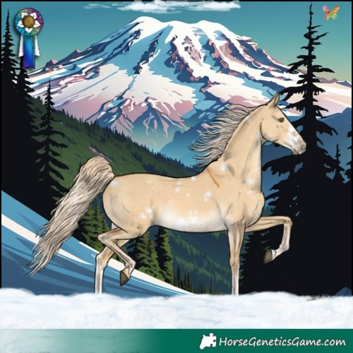 Horse Color:White Spotted Palomino Dun Sabino Frame Rabicano 
