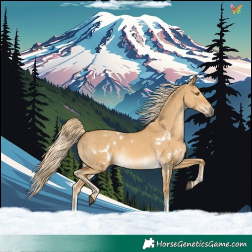 Horse Color:White Spotted Palomino Dun Sabino Rabicano