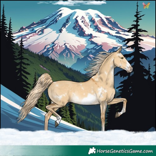 Horse Color:White Spotted Palomino Dun Sabino Frame Rabicano 