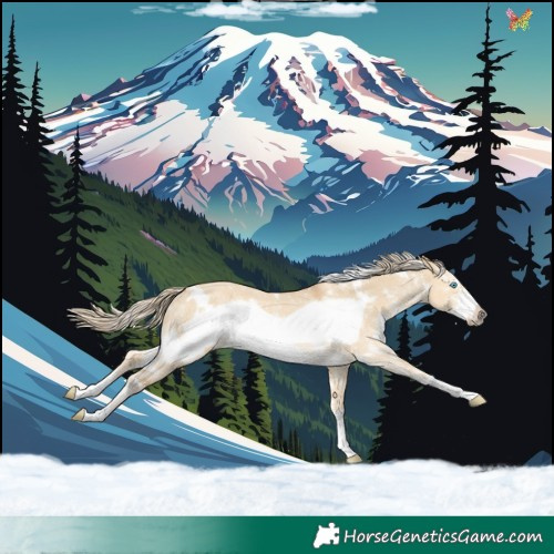 Horse Color:White Spotted Palomino Dun Sabino Frame Rabicano