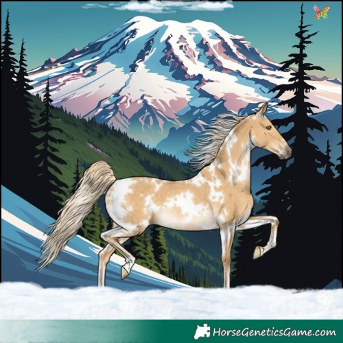 Horse Color:White Spotted Palomino Dun Rabicano 