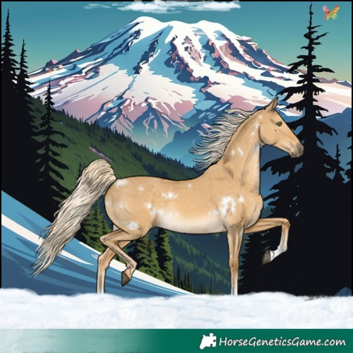 Horse Color:White Spotted Palomino Dun Sabino Rabicano 