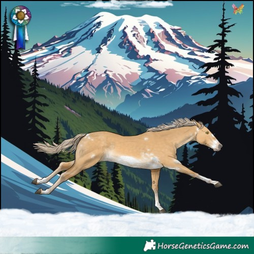 Horse Color:White Spotted Palomino Dun Sabino Frame Rabicano