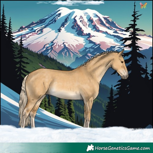 Horse Color:Palomino Dun Rabicano
