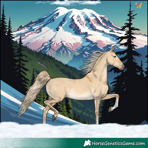 Horse Color:Palomino Dun Sabino Rabicano
