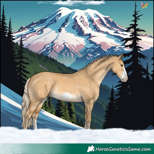 Horse Color:Palomino Dun Sabino Frame Rabicano