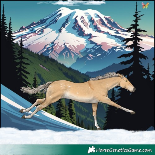 Horse Color:White Spotted Palomino Dun Sabino Rabicano
