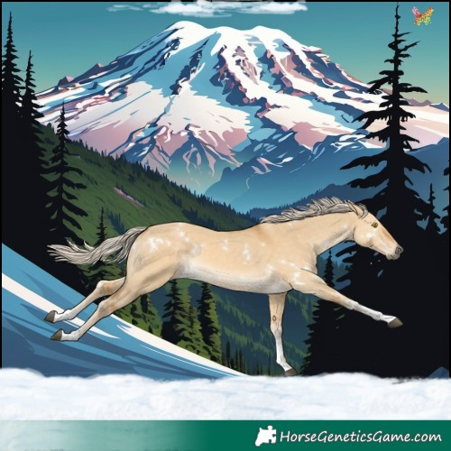 Horse Color:White Spotted Palomino Dun Sabino Rabicano