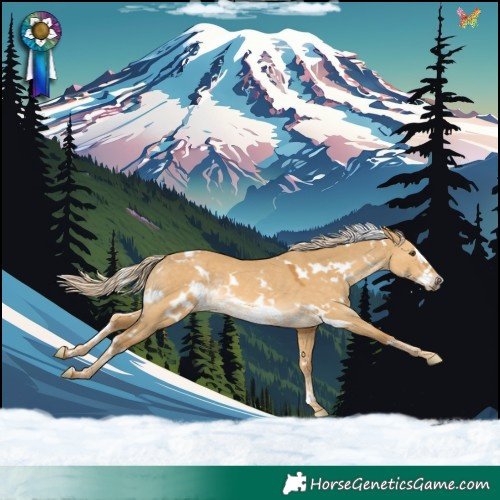 Horse Color:White Spotted Palomino Dun Frame Rabicano