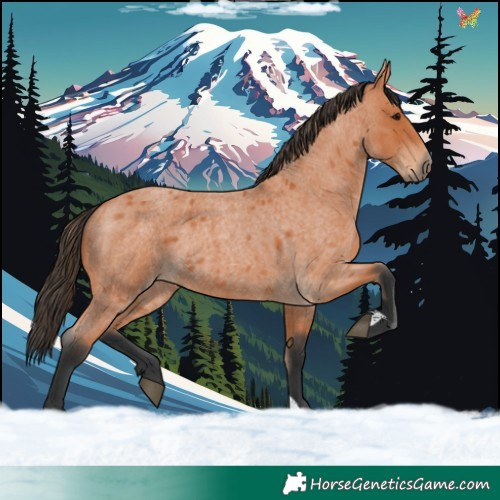 Horse Color:Bay Roan