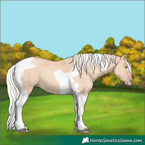 Horse Color:Silver Classic Champagne Dun Tobiano
