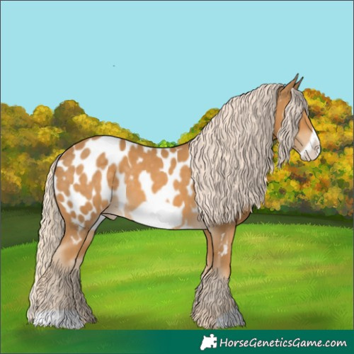 Horse Color:Palomino Frame Appaloosa 