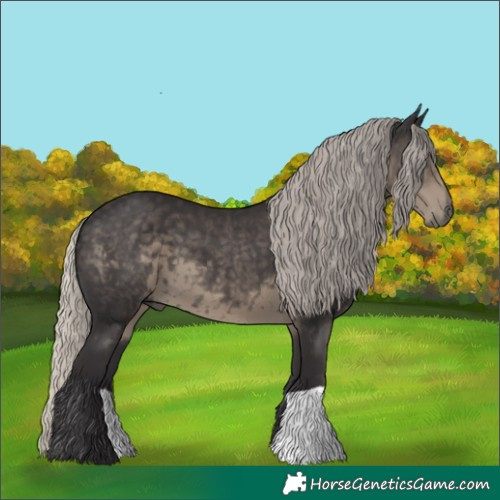 Horse Color:Silver Smoky Black 