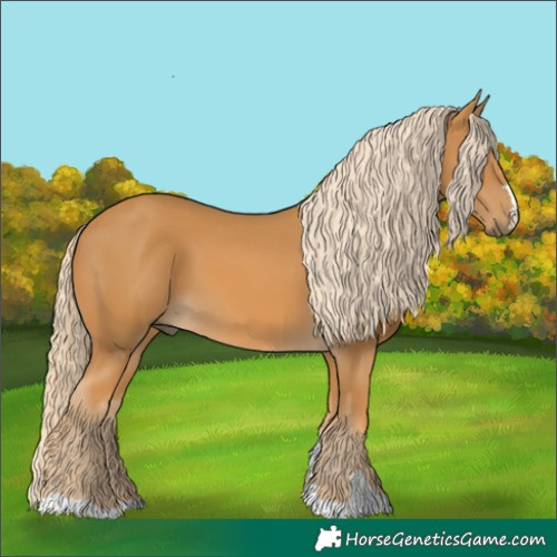 Horse Color:Palomino