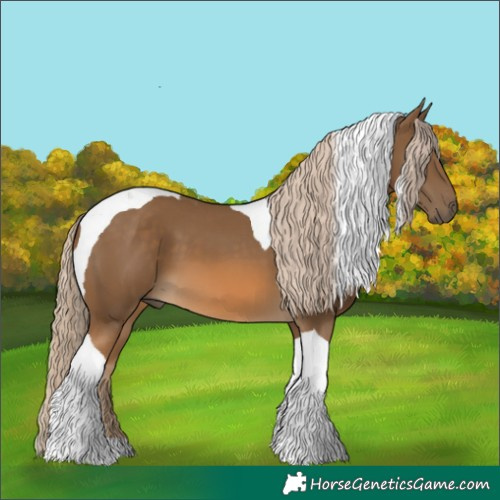 Horse Color:Chocolate Palomino Tobiano