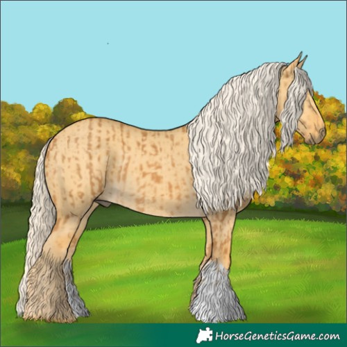 Horse Color:Palomino  and Palomino Dun 