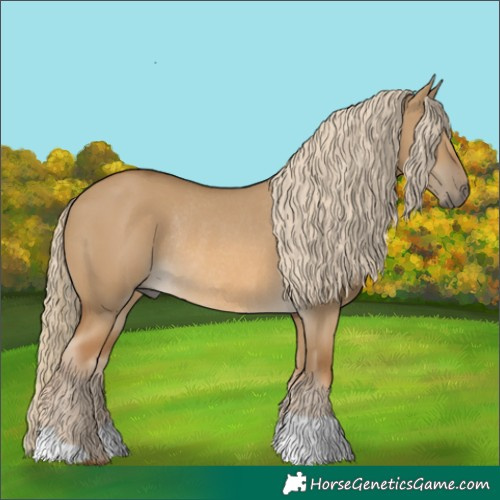 Horse Color:Chocolate Palomino Dun Rabicano 