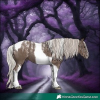 Horse Color:Powder White Silver Black Tobiano