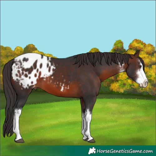 Horse Color:White Spotted Brown Mushroom Blanket