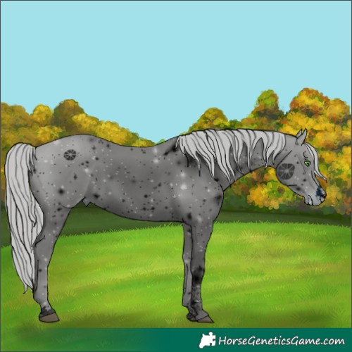 Horse Color:ERROR: UNKNOWN ANOMALY