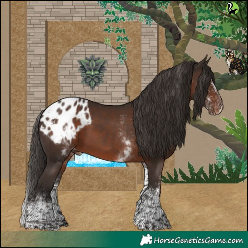 Horse Color:White Spotted Liver Chestnut Appaloosa Rabicano 