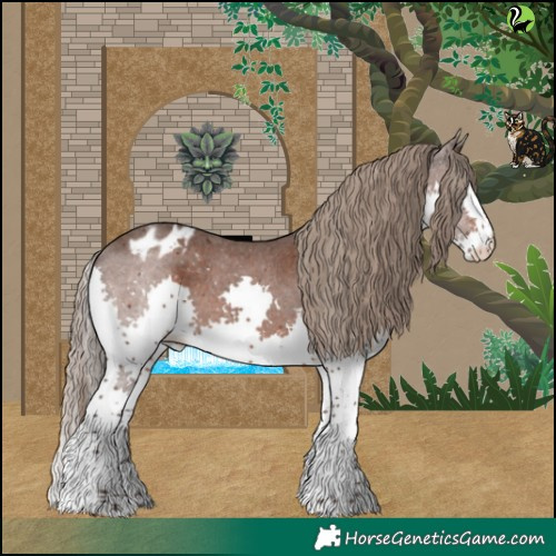 Horse Color:White Spotted Liver Chestnut Splash Appaloosa Rabicano 