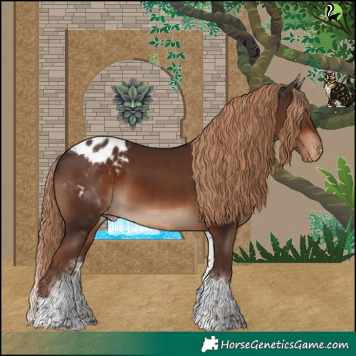 Horse Color:White Spotted Liver Chestnut Tobiano Appaloosa 