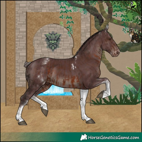 Horse Color:White Spotted Liver Chestnut Tobiano Varnish  and White Spotted Chocolate Black Varnish 