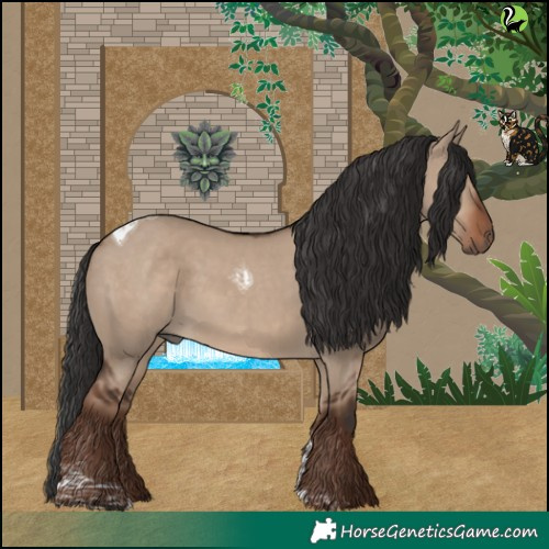 Horse Color:Liver Red Dun Tobiano