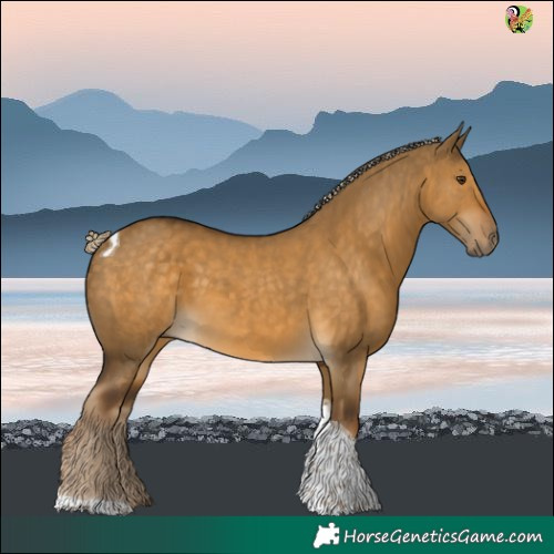 Horse Color:Chocolate Palomino Dun Tobiano