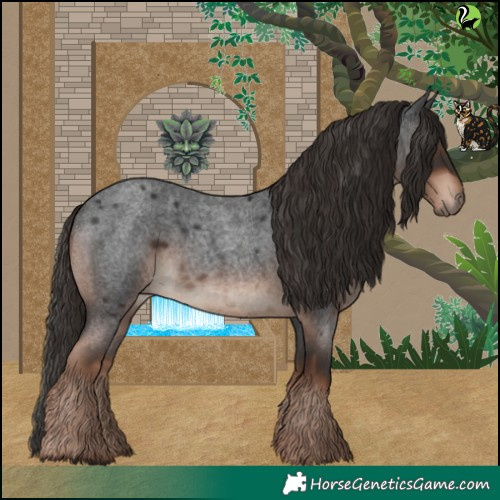 Horse Color:Liver Red Roan