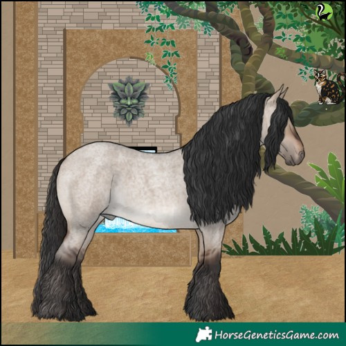 Horse Color:Brown Roan Dun