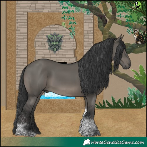 Horse Color:Grullo Tobiano