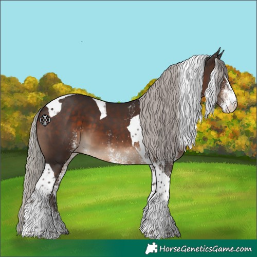 Horse Color:White Spotted Silver Brown Tobiano 