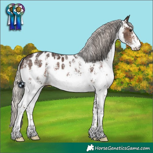 Horse Color:White Spotted Silver Brown Appaloosa 
