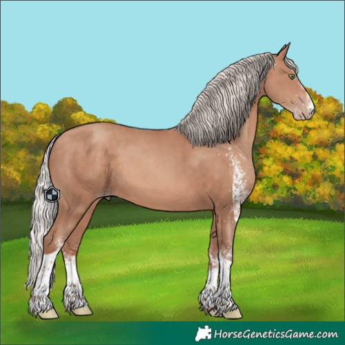 Horse Color:White Spotted Silver Sable Champagne Tobiano 