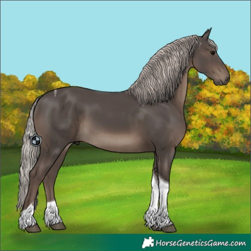 Horse Color:Silver Black Tobiano