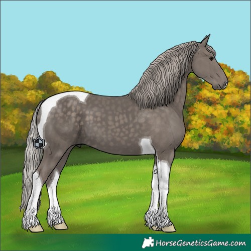 Horse Color:Silver Black Tobiano