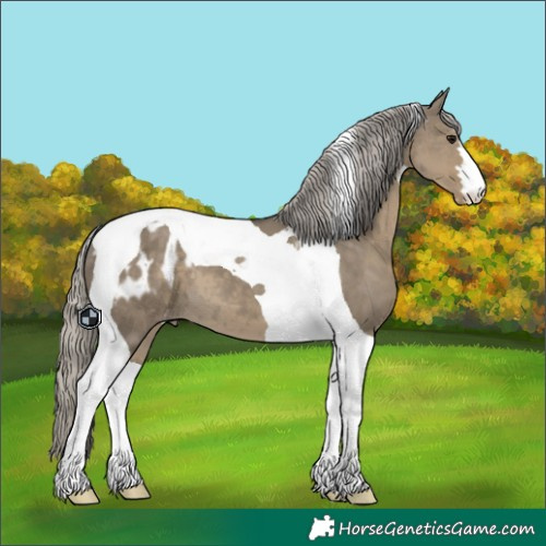Horse Color:Silver Smoky Grullo Tobiano Appaloosa 