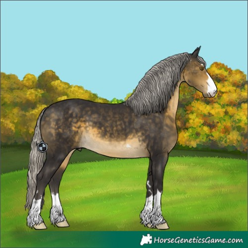 Horse Color:Silver Buckskin