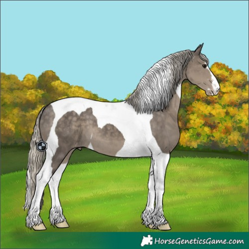 Horse Color:Silver Smoky Grullo Tobiano Appaloosa 