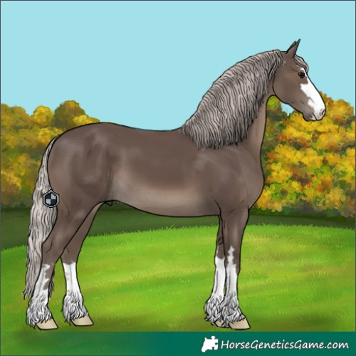 Horse Color:Unknown 