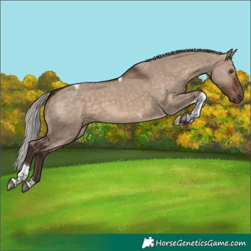 Horse Color:Silver Brown Dun Tobiano 