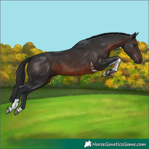 Horse Color:Brown Tobiano