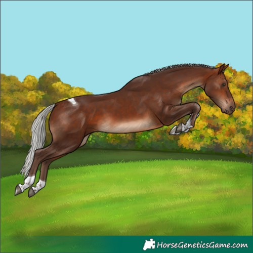 Horse Color:Silver Bay Tobiano 